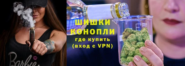 эйфоретик Сясьстрой