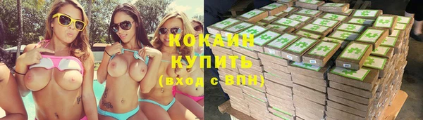 винт Тавда