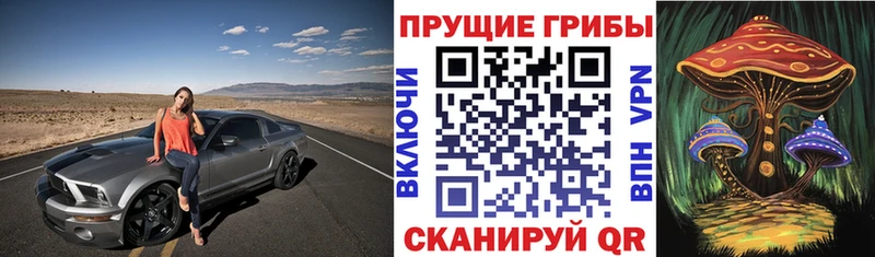 Галлюциногенные грибы Psilocybine cubensis  Тобольск 